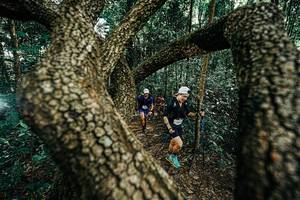 BIB: 
                            <button type="button" onclick="openModal(25392651)" class="btn btn-primary btn-sm float-right btn-popup" data-toggle="modal" data-target=".modal-high-quality">
                        <i class="fas fa-shopping-cart"></i> Add to Cart
                    </button>
                                            <button type="button" onclick="isThisMe(25392651, true)" class="btn btn-success btn-sm float-right btn-popup btn-isme hidden" data-toggle="tooltip" data-placement="bottom" title="นี่คือรูปของคุณใช่ไหม คลิกที่นี่เพื่อเอาเข้าอัลบั้ม">
                        <i class="fas fa-plus"></i> Add to album
                    </button>
                    <button type="button" onclick="isThisMe(25392651, false)" class="btn btn-warning btn-sm float-right btn-popup btn-isnotme hidden">
                        <i class="fas fa-ban"></i> Remove from album
                    </button>